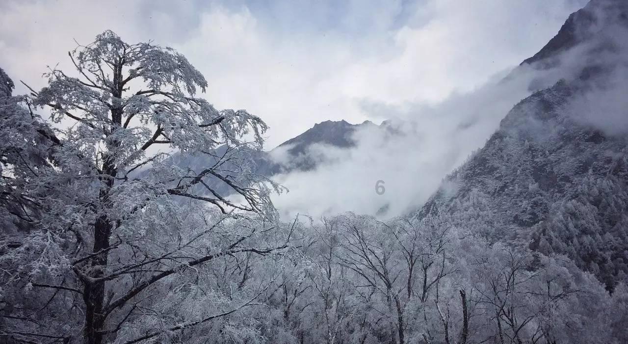 镇魔曲手游
